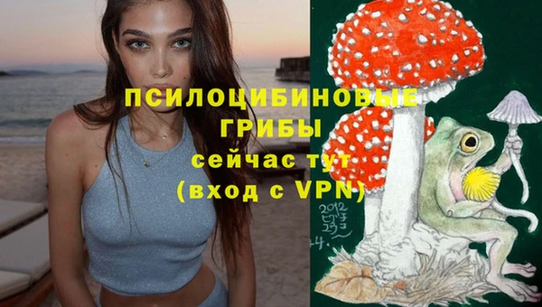 ALPHA PVP Алексеевка